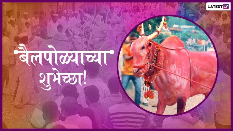 Bail Pola 2019: बैल पोळा सण महाराष्ट्रात श्रावण अमावस्या दिवशी साजरा करण्याचं महत्त्व काय? जाणून घ्या पूजा विधी आणि परंपरा Bail Pola 2019: बैल पोळा सण महाराष्ट्रात श्रावण अमावस्या दिवशी साजरा करण्याचं महत्त्व काय? जाणून घ्या पूजा विधी आणि परंपरा