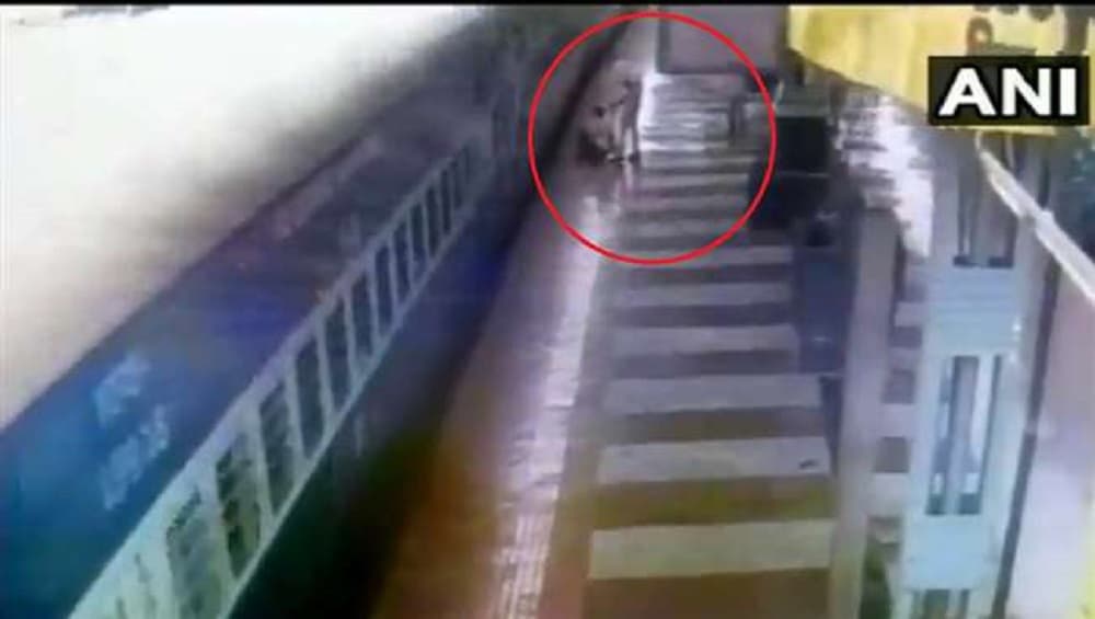 Video: युवकाचा धावत्या ट्रेनमध्ये चढण्याचा जीवघेणा प्रयत्न; CRPF जवानामुळे थोडक्यात वाचले प्राण Video: युवकाचा धावत्या ट्रेनमध्ये चढण्याचा जीवघेणा प्रयत्न; CRPF जवानामुळे थोडक्यात वाचले प्राण