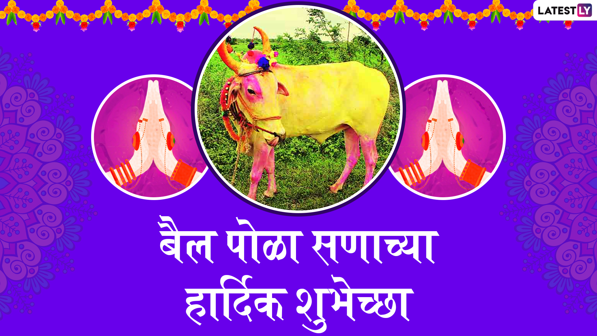 Bail Pola 2020 Wishes: बैल पोळ्याच्या मराठमोळ्या शुभेच्छा   Whatsapp Status, Greetings, Messages च्या माध्यमातून देण्यासाठी खास शुभेच्छापत्रं!