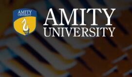 हॅक झालेली Amity University ची वेबसाईट पूर्ववत; मात्र हॅकर्सचा शोध अद्याप सुरु