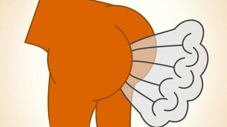 गुजरात: देशातील पहिली पादण्याची स्पर्धा 'What The Fart' साठी 60 जणांची नाव नोंदणी; मात्र 'या' कारणाने आयोजक नाराज गुजरात: देशातील पहिली पादण्याची स्पर्धा 'What The Fart' साठी 60 जणांची नाव नोंदणी; मात्र 'या' कारणाने आयोजक नाराज