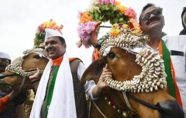 मुख्यमंत्री देवेंद्र फडणवीस यांनी साजरा केला हिंगोली मध्ये  बैल पोळ्याचा सण