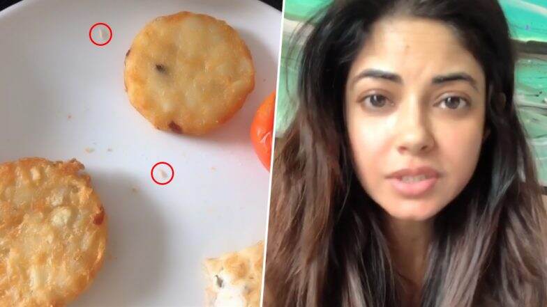 अभिनेत्री Meera Chopra ला फाईव्ह स्टार हॉटेलमध्ये जेवणात आढळले जिवंत किडे; सोशल मीडियात शेअर केला व्हिडिओ (Watch Video) अभिनेत्री Meera Chopra ला फाईव्ह स्टार हॉटेलमध्ये जेवणात आढळले जिवंत किडे; सोशल मीडियात शेअर केला व्हिडिओ (Watch Video)