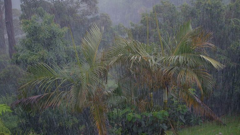 Maharashtra Rain Update: पावसामुळे दरड कोसळल्याने रायगडमध्ये 36 जणांचा बळी