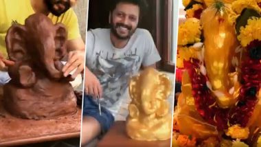 Ganeshotsav 2019: रितेश देशमुख ने साकारला मातीचा बाप्पा, सोशल मीडियावर शेअर केला Making Video