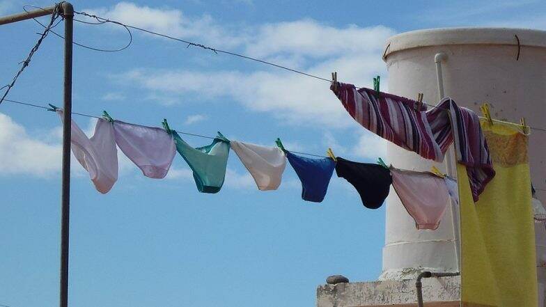 सिंगापूर मध्ये सापडला अंडरवेअर चोर; लॉकडाऊन मोडत महिलेच्या Lingerie चोरताना पोलिसांनी केली अटक, वाचा सविस्तर