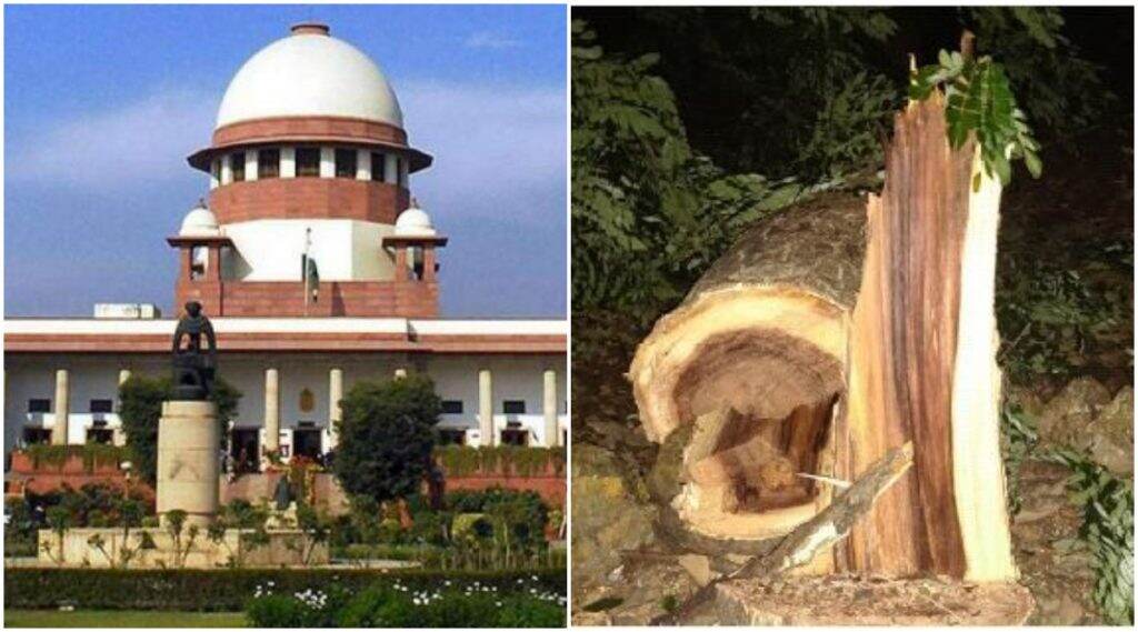 'आरे'तील वृक्षतोड तत्काळ थांबवा, सर्वोच्च न्यायालयाचे आदेश 'आरे'तील वृक्षतोड तत्काळ थांबवा, सर्वोच्च न्यायालयाचे आदेश