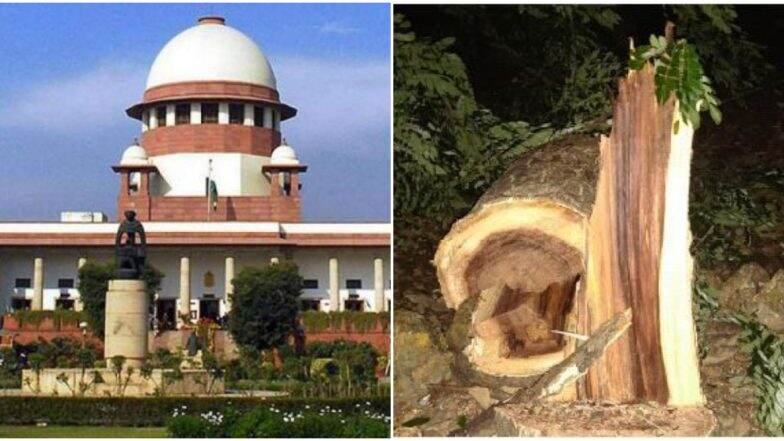 'आरे'तील वृक्षतोड तत्काळ थांबवा, सर्वोच्च न्यायालयाचे आदेश 'आरे'तील वृक्षतोड तत्काळ थांबवा, सर्वोच्च न्यायालयाचे आदेश