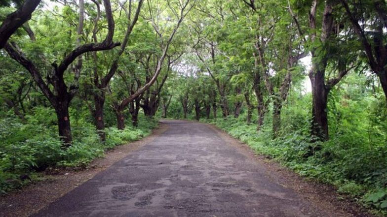 Aarey Road: आरे रोड 24 तासांसाठी बंद, मेट्रो कारशेडसाठी झाडं कापायला सुरुवात?