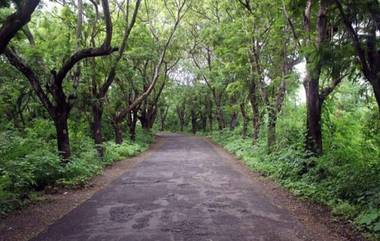 Aarey Metro Car Shed: आरे कार शेड साठी वृक्षतोडणी केली नसल्याची MMRCL ची सर्वोच्च न्यायालयात माहिती