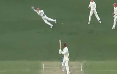 अ‍ॅलेक्स कॅरी याने Sheffield Shield स्पर्धेत झेलला अचंबित करणारा Superman कॅच, पाहून सर्वच झाले थक्क, पहा Video