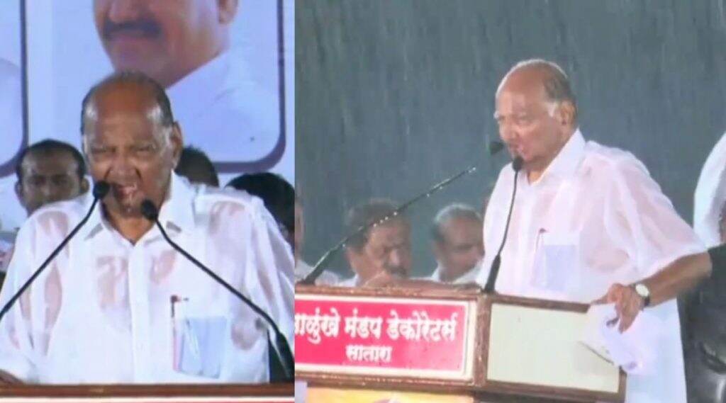 महाराष्ट्र विधानसभा निवडणूक निकाल 2019: Sharad Pawar यांना पाऊस पावला; वाचा त्या पावसातल्या सभेबद्दल महाराष्ट्र विधानसभा निवडणूक निकाल 2019: Sharad Pawar यांना पाऊस पावला; वाचा त्या पावसातल्या सभेबद्दल