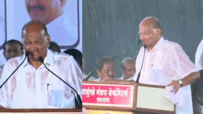 Maharashtra Assembly Elections 2019: साताऱ्यामध्ये भर पावसात पार पडली शरद पवार यांची सभा; 'लोकसभेसाठी उदयनराजेंना उमेदवारी देऊन केली चूक' (Video) Maharashtra Assembly Elections 2019: साताऱ्यामध्ये भर पावसात पार पडली शरद पवार यांची सभा; 'लोकसभेसाठी उदयनराजेंना उमेदवारी देऊन केली चूक' (Video)