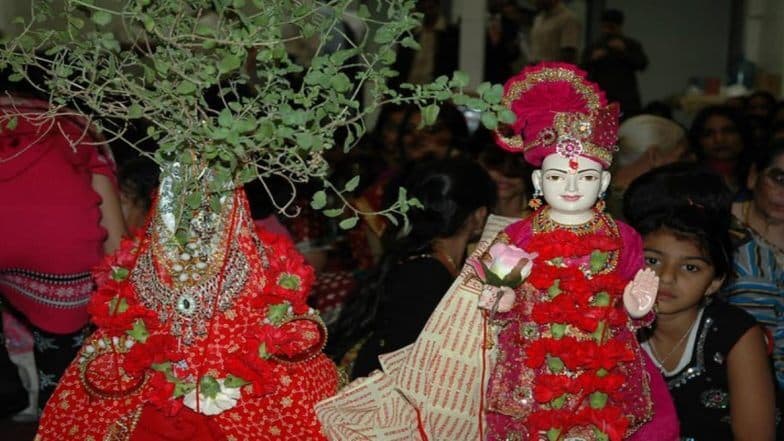 Tulsi Vivah 2019: वैवाहिक जीवनातील समस्या दूर करण्यासाठी तुळशी विवाहाच्या दिवशी करा ‘ही’ कामे Tulsi Vivah 2019: वैवाहिक जीवनातील समस्या दूर करण्यासाठी तुळशी विवाहाच्या दिवशी करा ‘ही’ कामे