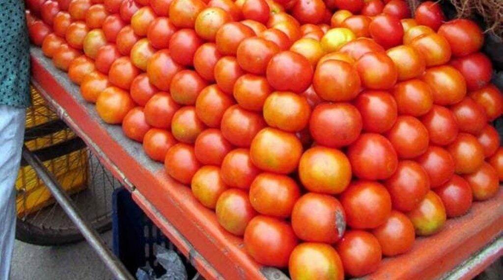 टोमॅटोचे दर 80 रुपये प्रति किलोवर पोहचल्याने सामान्यांच्या खिशाला कात्री, सरकारने घेतला मोठा निर्णय टोमॅटोचे दर 80 रुपये प्रति किलोवर पोहचल्याने सामान्यांच्या खिशाला कात्री, सरकारने घेतला मोठा निर्णय