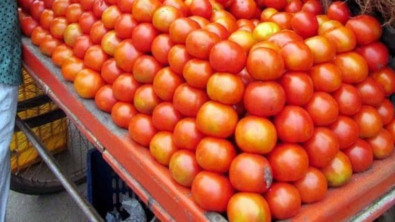 टोमॅटोचे दर 80 रुपये प्रति किलोवर पोहचल्याने सामान्यांच्या खिशाला कात्री, सरकारने घेतला मोठा निर्णय टोमॅटोचे दर 80 रुपये प्रति किलोवर पोहचल्याने सामान्यांच्या खिशाला कात्री, सरकारने घेतला मोठा निर्णय