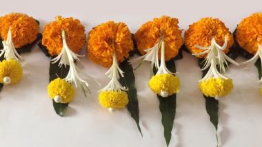 Diwali 2019: यंदा दिवाळीला आंब्याची पाने आणि झेंडूच्या फुलांचे आकर्षक तोरण लावून सजवा तुमचे घर; या सोप्प्या ट्रिक्स करतील मदत (Watch Video)