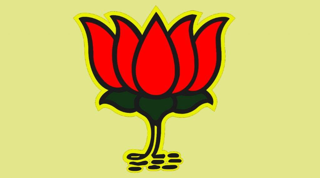 Dhule Zilla Parishad Election Results 2020: धुळे जिल्हा परिषद निवडणुकीत भाजप बहुमताने विजयी; महाविकाआघाडी पॅटर्न अयशस्वी Dhule Zilla Parishad Election Results 2020: धुळे जिल्हा परिषद निवडणुकीत भाजप बहुमताने विजयी; महाविकाआघाडी पॅटर्न अयशस्वी