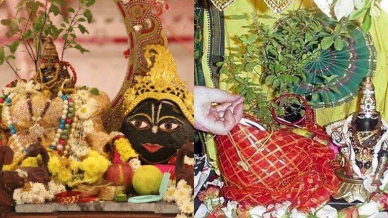 Tulsi Vivah 2019: तुळशी विवाह करताना ‘या’ गोष्टी केल्यास होईल भरपूर धनलाभ Tulsi Vivah 2019: तुळशी विवाह करताना ‘या’ गोष्टी केल्यास होईल भरपूर धनलाभ