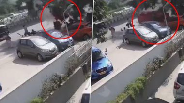 चालकाचे गाडीवरील नियंत्रण सुटल्याने हैदराबादमध्ये फ्लायओव्हरवरुन कोसळली कार; पाहा अंगावर काटा आणणारा व्हिडिओ