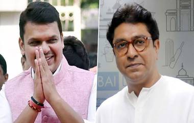 Raj Thackeray यांच्या अयोध्येला जाण्याच्या निर्णयावर देवेंद्र फडणवीसांनी प्रतिक्रिया देत केली 'ही' मोठी घोषणा