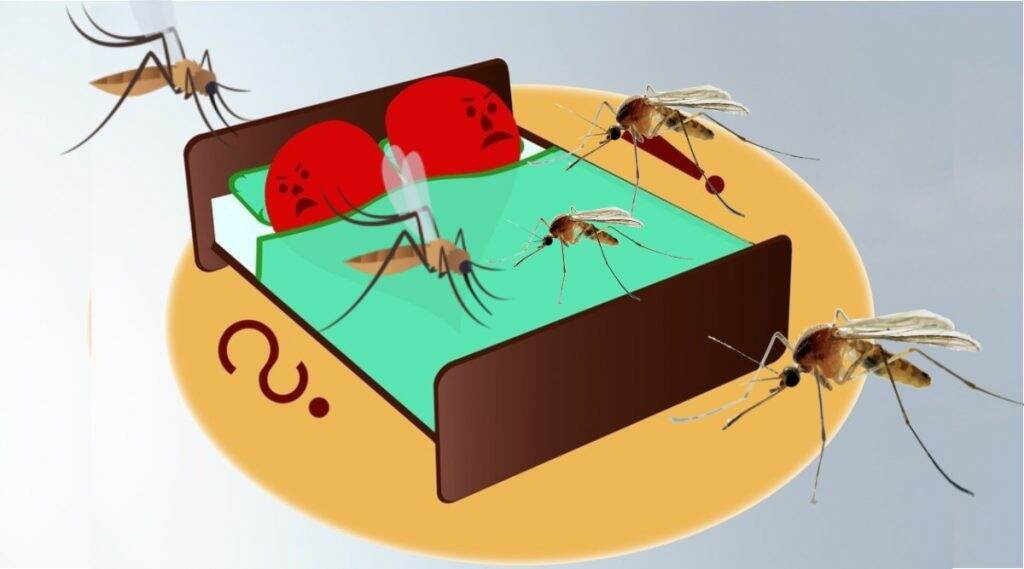 अहमदाबाद: डास चावला म्हणून बायको चिडली, नवऱ्याला मुसळाने बदडले अहमदाबाद: डास चावला म्हणून बायको चिडली, नवऱ्याला मुसळाने बदडले