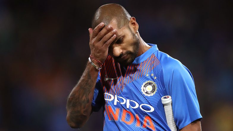 अमानुष! फटाके भरलेलं अननस खाऊ घातल्याने गर्भार हत्तीणीचा मृत्यू; संतप्त शिखर धवन, हरभजन सिंहकडून दोषींना कठोर शिक्षेची मागणी