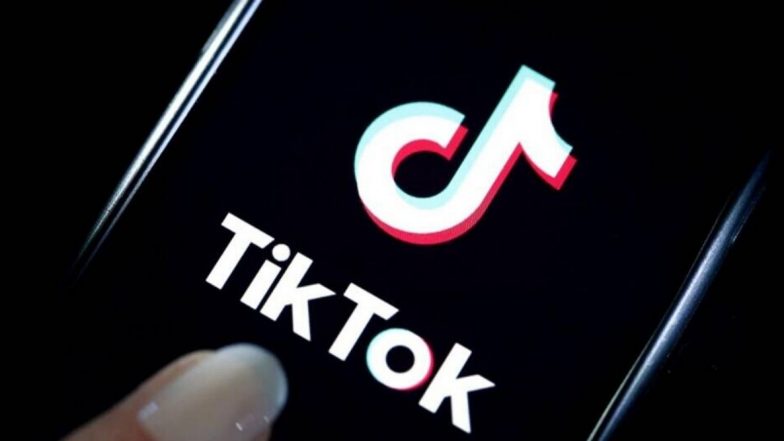 Delhi Assembly Election 2020: राजकीय पक्षांचा निवडणूकींसाठी नवा प्लान; TikTok च्या माध्यमातून करणार मतदारराजाला खुश करण्याचा प्रयत्न