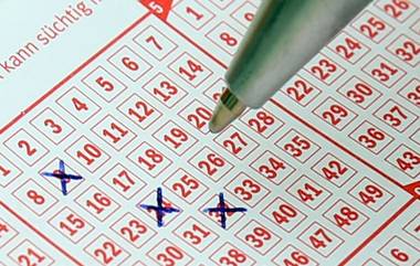 Maharashtra Dear Lottery Results Today: 29 ऑक्टोबर चा महाराष्ट्र डियर विकली लॉटरी निकाल,भाग्यवान विजेत्यांची यादी पहा dearlotteries.com वर