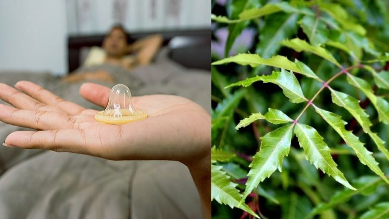 Unprotected Sex: नकळत घडलेल्या सेक्सची काळजी नको; गर्भधारणा टाळण्यासाठी वरदान ठरू शकतात या वनौषधी 