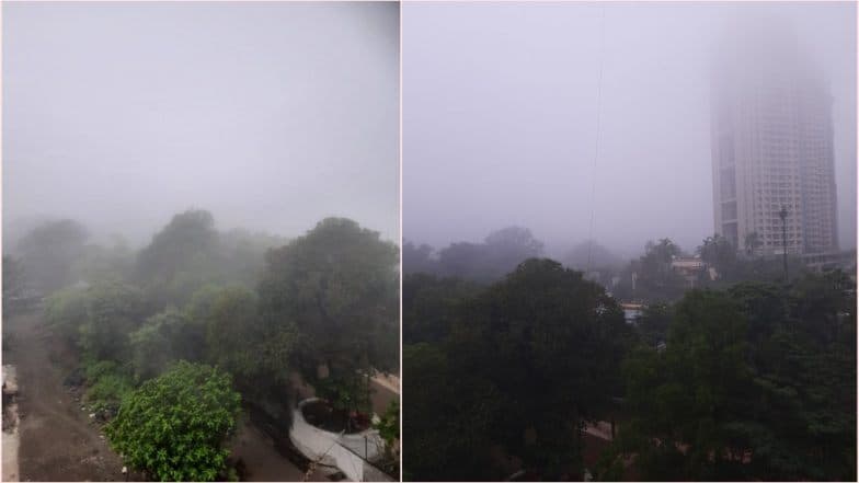 मुंबई, ठाणे शहरात रविवार सकाळी धुकचं धुकं! महाराष्ट्रात थंडीच आगमन की प्रदुषण? नेटकर्यांचा ट्विटर वर प्रश्न मुंबई, ठाणे शहरात रविवार सकाळी धुकचं धुकं! महाराष्ट्रात थंडीच आगमन की प्रदुषण? नेटकर्यांचा ट्विटर वर प्रश्न