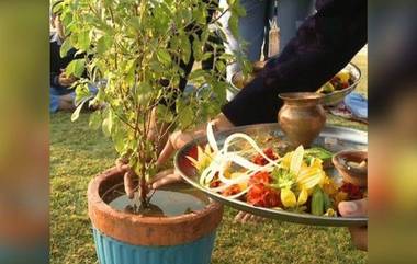 Tulsi Vivah 2019 Shubh Muhurat: कार्तिकी द्वादशी दिवशी तुळशी- शाळीग्रामच्या विवाहाचे सनई चौघडे वाजतील 'या' मुहूर्तावर