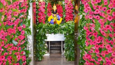 गीता जयंती व 'मोक्षदा एकादशी' चं औचित्य साधत पंढरपूरच्या विठ्ठल-रुक्मिणी मंदिर मध्ये जरबेरा फुलांची मनमोहक सजावट; पहा विठूरायाचं विलोभनीय रूप! (Photos)