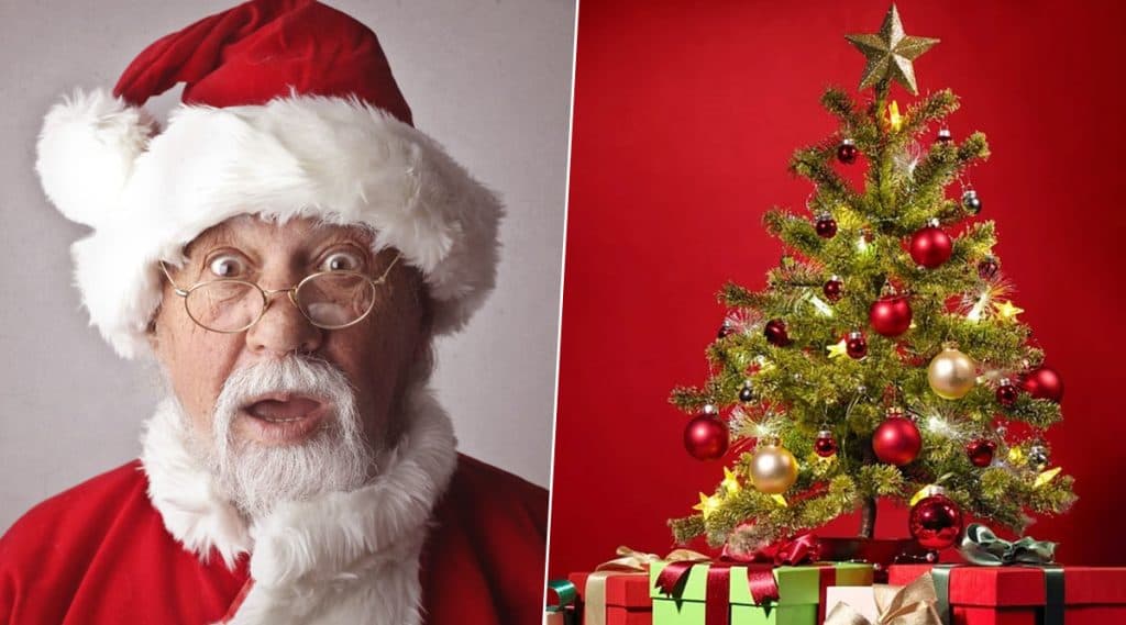 Christmas 2019: नाताळात ख्रिसमस ट्री ला का आहे विशेष महत्व; जाणून घ्या यामागची कारणे Christmas 2019: नाताळात ख्रिसमस ट्री ला का आहे विशेष महत्व; जाणून घ्या यामागची कारणे
