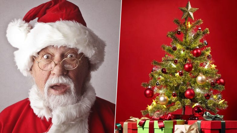 Christmas 2019: नाताळात ख्रिसमस ट्री ला का आहे विशेष महत्व; जाणून घ्या यामागची कारणे
