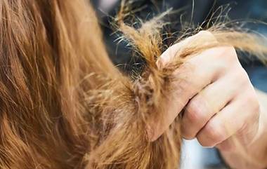 Hair Care Tips: केसांना फाटे फुटण्याच्या समस्येवर '5' झटपट घरगुती उपाय