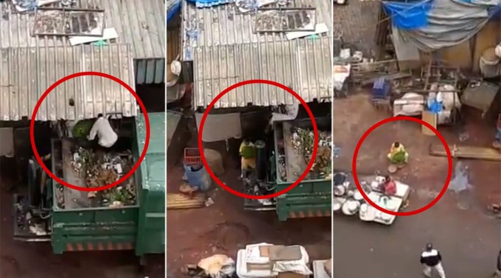 मुंबई: कचरा गाडीतून भाज्या वेचून विकल्या जाणारा व्हिडिओ सोशल मीडियात व्हायरल; कुलाबा परिसरातील क्लिप असल्याचा नेटकर्याचा दावा मुंबई: कचरा गाडीतून भाज्या वेचून विकल्या जाणारा व्हिडिओ सोशल मीडियात व्हायरल; कुलाबा परिसरातील क्लिप असल्याचा नेटकर्याचा दावा