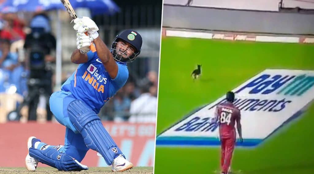 IND vs WI 1st ODI: चेन्नई मॅचमध्ये '12 व्या खेळाडूमुळे' थांबला खेळ, यूजर्सने आनंद लुटत केले मजेदार ट्विट्स IND vs WI 1st ODI: चेन्नई मॅचमध्ये '12 व्या खेळाडूमुळे' थांबला खेळ, यूजर्सने आनंद लुटत केले मजेदार ट्विट्स