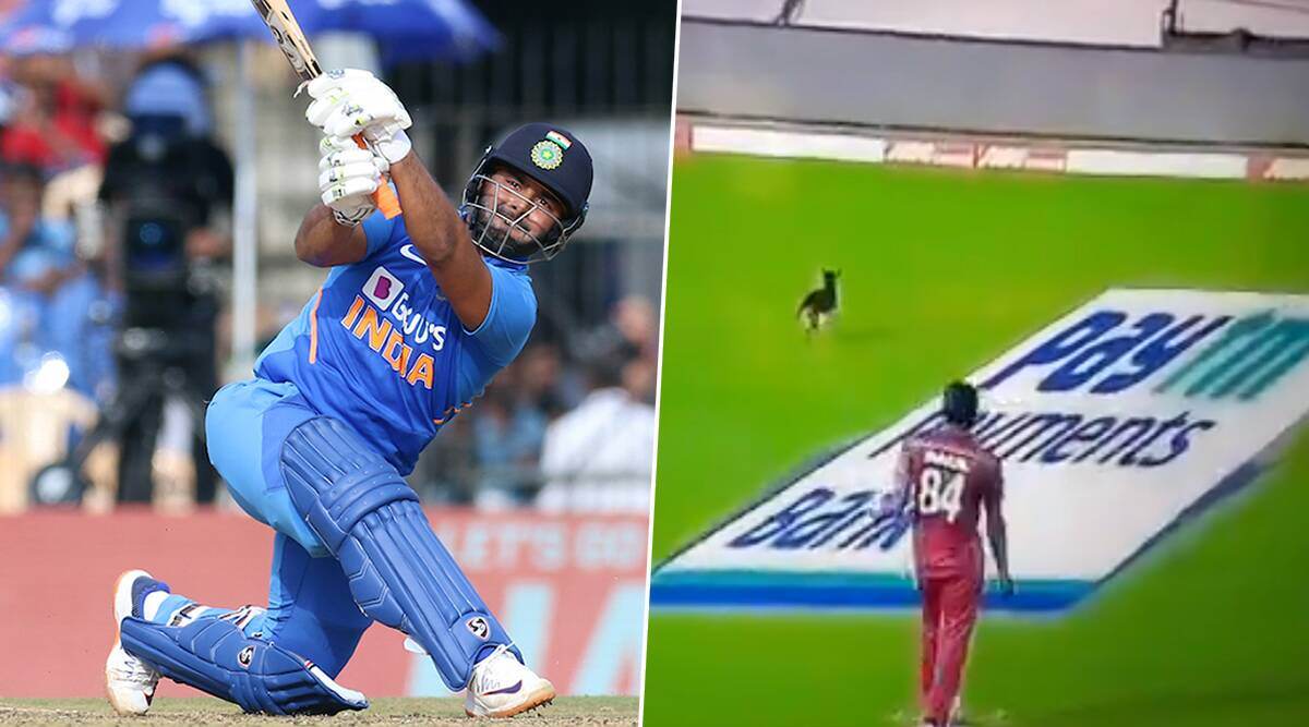 IND vs WI 1st ODI: चेन्नई मॅचमध्ये '12 व्या खेळाडूमुळे' थांबला खेळ, यूजर्सने आनंद लुटत केले मजेदार ट्विट्स