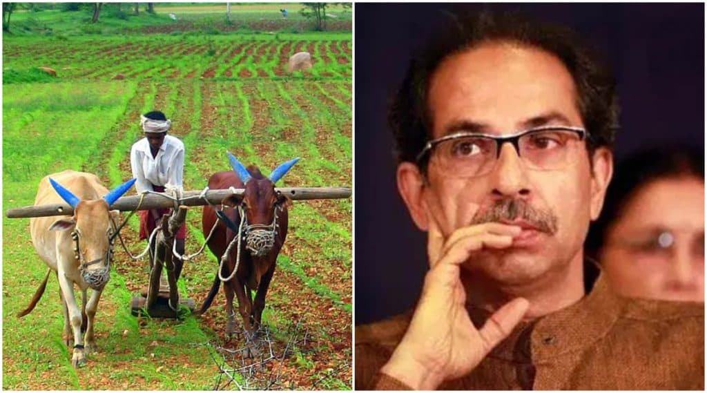 कोणत्या शेतकऱ्यांना मिळणार नाही कर्जमाफी? महात्मा फुले शेतकरी कर्जमाफी योजनेतील महत्त्वाचा निकष कोणत्या शेतकऱ्यांना मिळणार नाही कर्जमाफी? महात्मा फुले शेतकरी कर्जमाफी योजनेतील महत्त्वाचा निकष