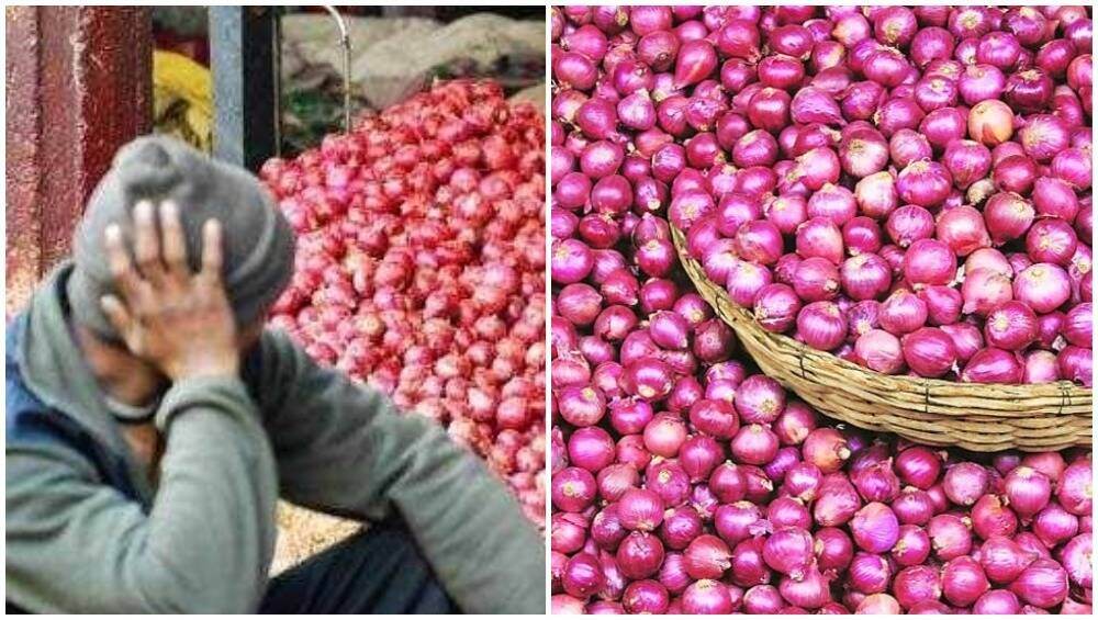 महाराष्ट्रातील पाऊस व तुर्कीने निर्यातीस नकार दिल्याने कांद्याच्या किंमती पुन्हा वाढण्याची शक्यता महाराष्ट्रातील पाऊस व तुर्कीने निर्यातीस नकार दिल्याने कांद्याच्या किंमती पुन्हा वाढण्याची शक्यता