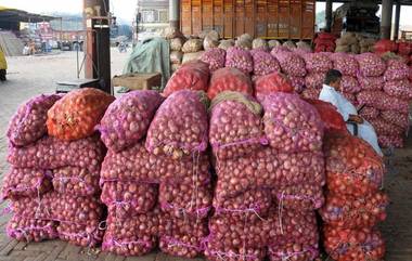 Onion Price: कांद्याच्या घसरलेल्या भावाचा निषेध; नाशिकमध्ये शेतकऱ्याने दीड एकर पिकाची केली होळी