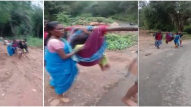 तमिळनाडू: रुग्णवाहिकेसाठी रस्ता नसल्याने गर्भवती महिलेला कापडी झोळीतून रुग्णालयात दाखल केले (Video)