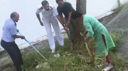 फक्त वासावरून सापाचे ठिकाण ओळखणारी महिला; सहज पकडला तब्बल 20 किलोचा अजगर (Video) फक्त वासावरून सापाचे ठिकाण ओळखणारी महिला; सहज पकडला तब्बल 20 किलोचा अजगर (Video)