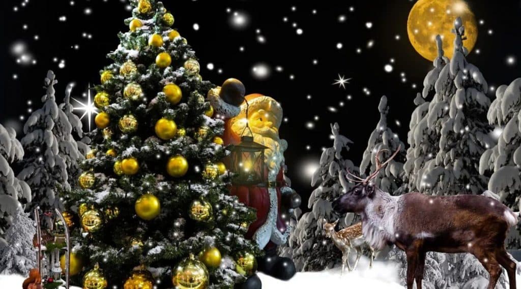 Christmas 2019: 'ख्रिसमस'चा सण साजरा करण्यासाठी सुंदर सजवा तुमचा ख्रिसमस ट्री; या 5 डेकोरेशन आइडियाजची होईल मदत Christmas 2019: 'ख्रिसमस'चा सण साजरा करण्यासाठी सुंदर सजवा तुमचा ख्रिसमस ट्री; या 5 डेकोरेशन आइडियाजची होईल मदत