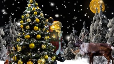 Christmas 2019: 'ख्रिसमस'चा सण साजरा करण्यासाठी सुंदर सजवा तुमचा ख्रिसमस ट्री; या 5 डेकोरेशन आइडियाजची होईल मदत