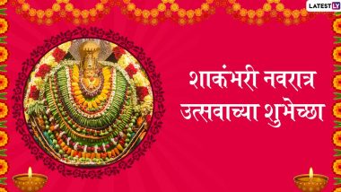 Shakambari Navratri 2020: शाकंभरी नवरात्रोत्सव तारीख, शुभ मुहूर्त, व्रत कथा आणि महत्त्व