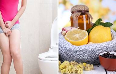 Urine Infection Home Remedies: हिवाळयात तुम्हाला युरीन इन्फेक्शन चा त्रास सतावतोय का? करा 'हे' घरगुती उपाय