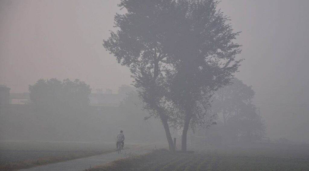 Mumbai Weather Update: मुंबई शहरामध्ये 26 जानेवारीपासून थंडी परतणार; हवामान खात्याचा अंदाज Mumbai Weather Update: मुंबई शहरामध्ये 26 जानेवारीपासून थंडी परतणार; हवामान खात्याचा अंदाज