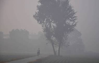 Mumbai Weather Update:  मुंबई शहरामध्ये 26 जानेवारीपासून थंडी परतणार; हवामान खात्याचा अंदाज